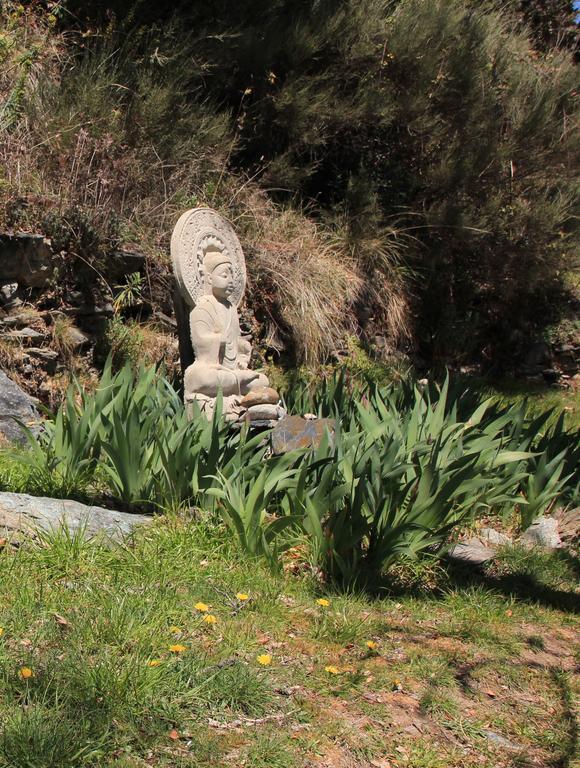 Hostal Rural Las Terrazas De La Alpujarra Бубіон Екстер'єр фото